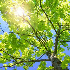 打麻将输了让男人吃奶抵
